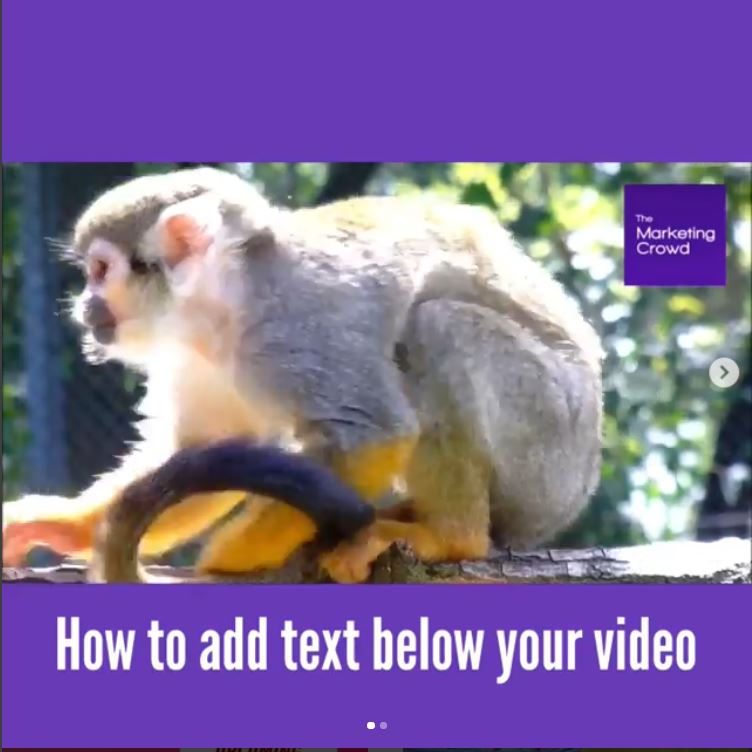 Instasize app - how to add text below your video