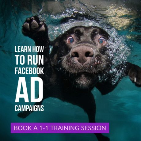 1-1 Facebook ads training