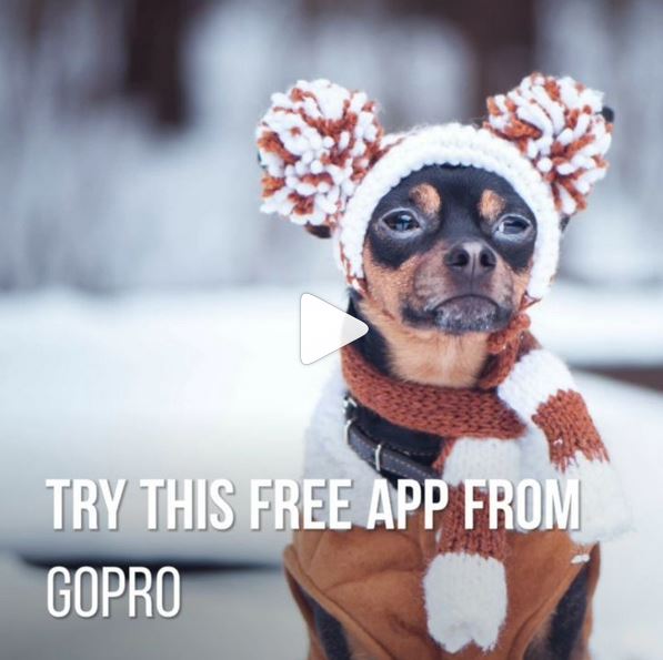 Quik app from Gopro
