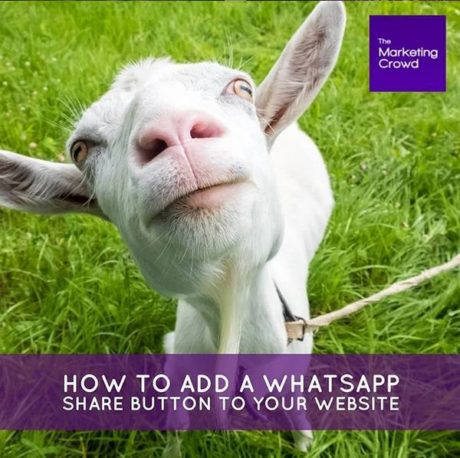 How to add a whatsapp share button to your website