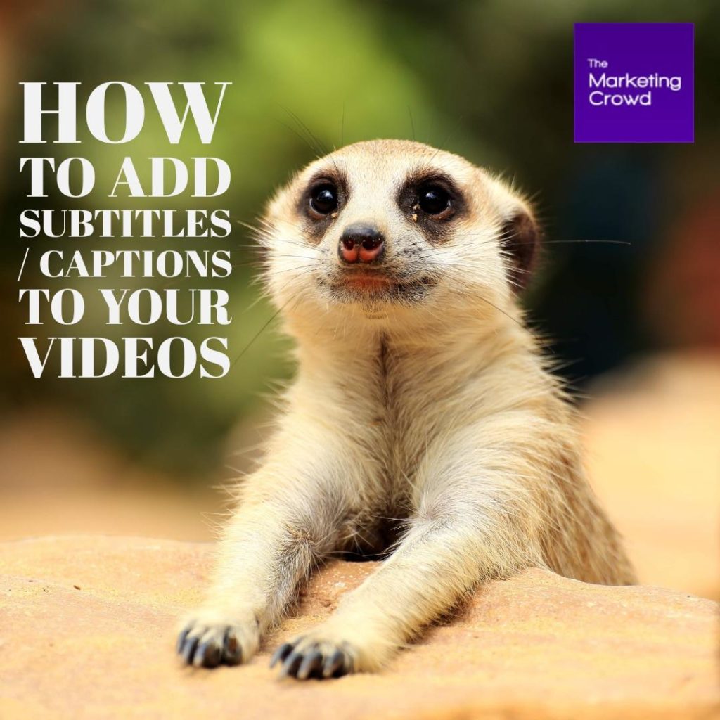 How to add subtitles to your marketing videos for Instagram / FB