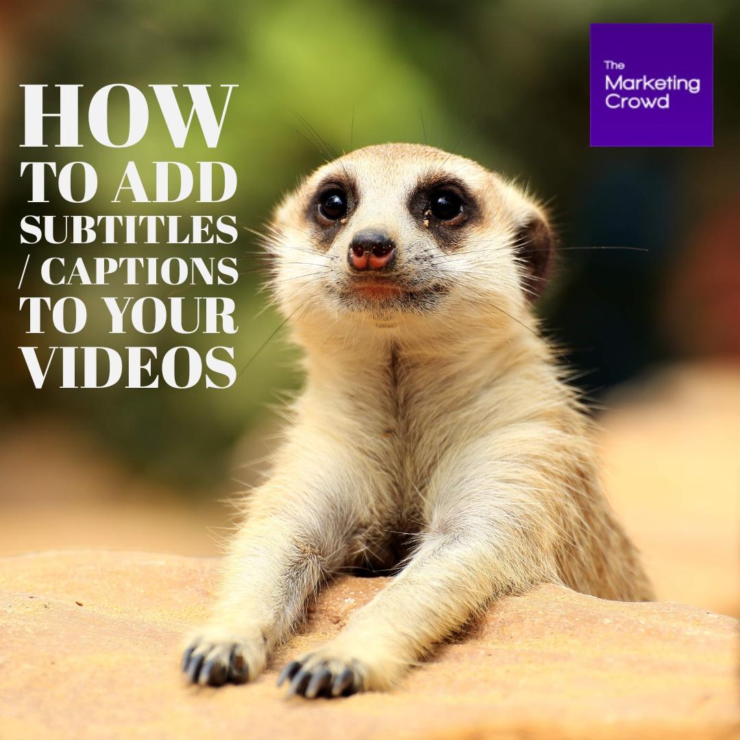 How To Add Captions Or Subles To Your Video - The Marketing Crowd