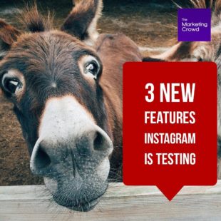 3 new features Instagram is testing