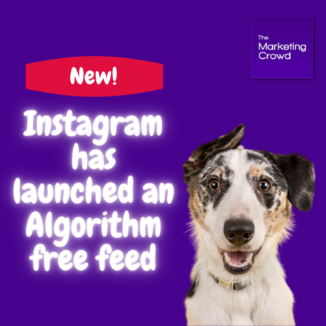 Instagram has launched an algorithm free feed