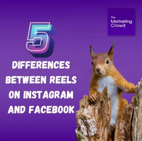 5 differences between Reels on Instagram and Facebook - The